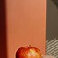Image result for Apple Rfuit