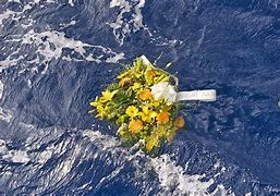 Image result for Lampedusa Tragedy