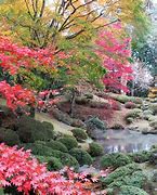 Image result for Nikko Japan Spring