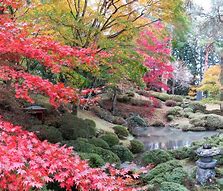 Image result for Japan Nature Park Photographs