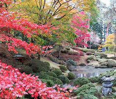 Image result for Nikko National Park in Japan