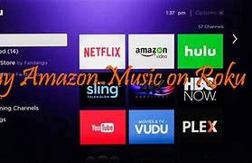 Image result for Amazon Music On Roku