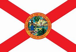 Image result for Florida State Flag