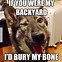 Image result for Funny Dog Memes Relatable