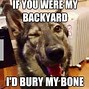 Image result for Crazy Funny Dog Memes