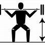 Image result for Squat Every Day