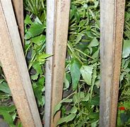 Image result for Antique Stanchions