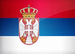 Image result for Serbian Empire Flag Template