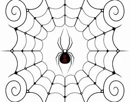 Image result for Drawn Spider Web