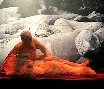 Image result for Pompeii Bodies Real