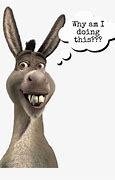 Image result for Donkey From Shrek Meme
