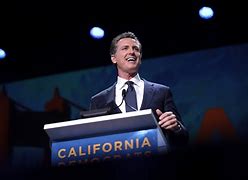 Image result for Gavin Newsom Poster