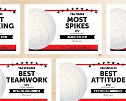 Image result for Volleyball Wood Award Ideas