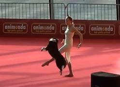 Image result for Dog Dancing with Owner