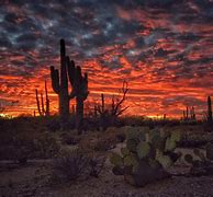 Image result for Iconic Arizona Nature