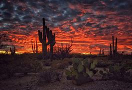 Image result for iPhone Lock Screen Image Arizona Desert