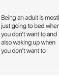 Image result for Funny Memes About Adulting