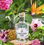 Image result for South African Gin Brands