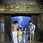 Image result for Atlantis Resort Water Park