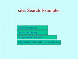 Image result for YouTube Search the Web