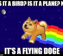 Image result for Flying Dog Meme