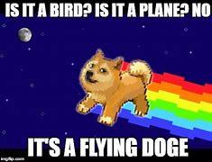 Image result for Flying Dog with Ball Meme