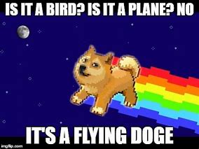 Image result for Dog Black Flying Meme