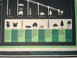 Image result for Historical Plant Evolution