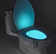 Image result for Toilet Light
