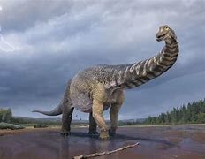 Image result for Largest Sauropod Dinosaur