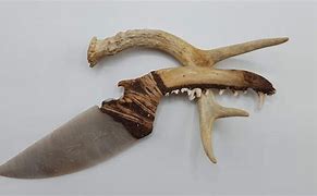 Image result for Coyote Jawbone Knife