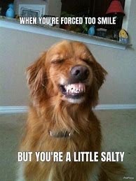 Image result for Smile Dog Meme Poster