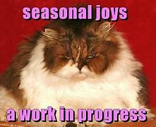 Image result for Working Cat Meme