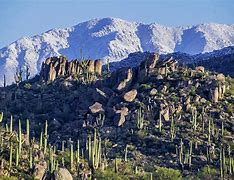 Image result for Arizona Desert Winter