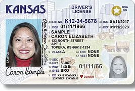 Image result for Free Government ID