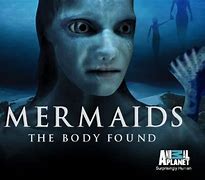 Image result for Mermaid Off of Animal Planet