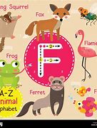 Image result for Animals with Letter F