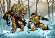 Image result for Wolverine Marvel Imperfects