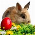 Image result for Happy Easter Images. Free