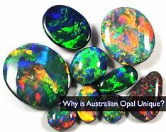 Image result for Australian Opal Mups