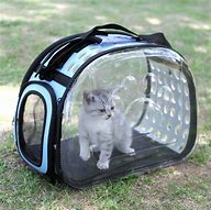 Image result for Cute Pet Case