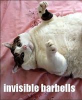 Image result for Invisible Funny