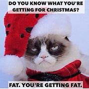 Image result for Grumpy Cat Happy Thanksgiving