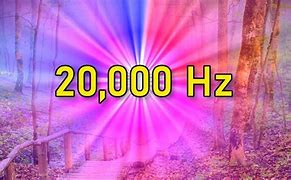 Image result for 20000 Hertz