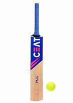Image result for Cricket Hotspot Ball Hit Pad or Bat