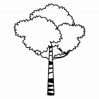 Image result for A Tree Cartoon