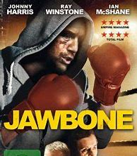 Image result for Jawbone Big JamBox