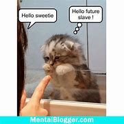 Image result for Baby Animals Funny Memes Clean