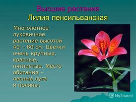 Image result for Биология Книга Растения