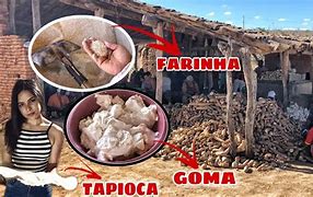 Image result for afeirado